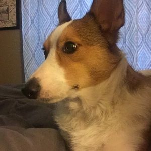 Meet your Posher, Robyn